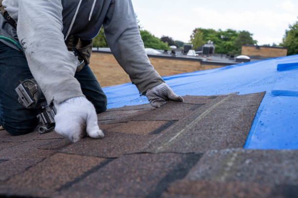Best Flat Roof Repair Services  in Universal City, TX